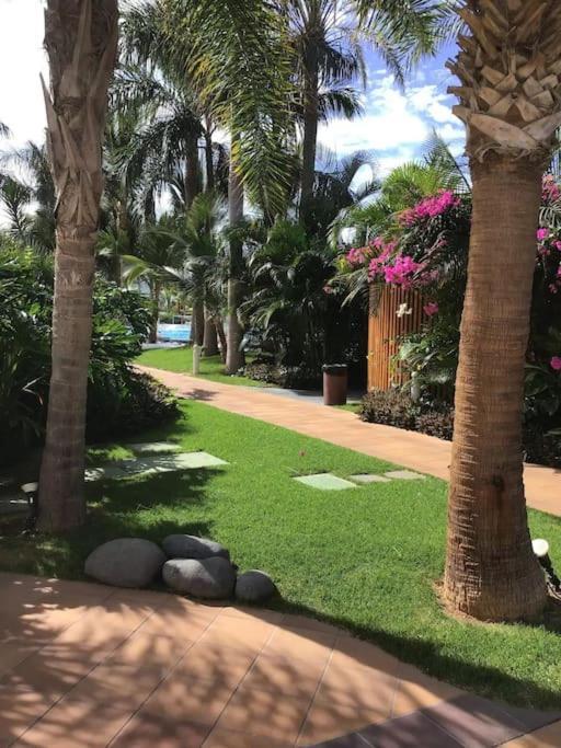 Exterior Con Vistas Appartamento Playa de las Americas (Tenerife)